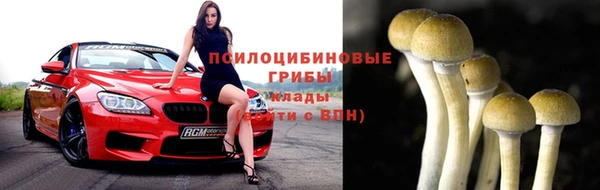 прущий лед Киреевск