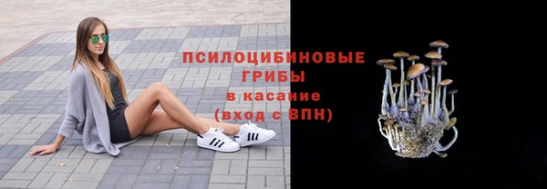 не бодяженный Козельск