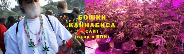 spice Карпинск