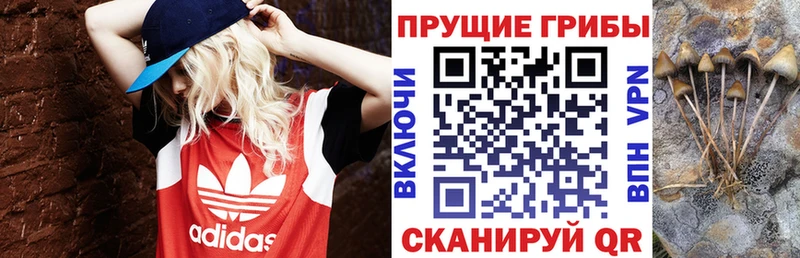 Галлюциногенные грибы MAGIC MUSHROOMS  Ковдор 